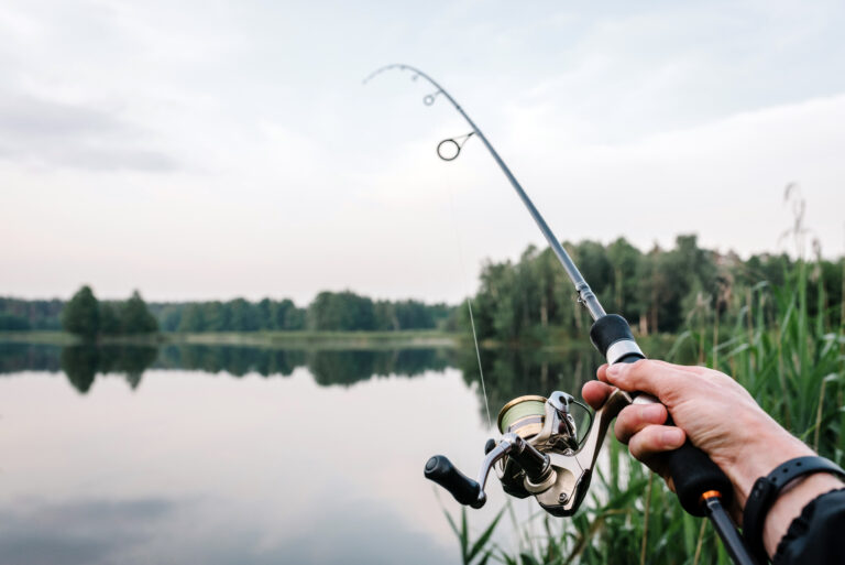 The Ultimate Guide to Fishing Reports: Catch More Fish with Insider Knowledge